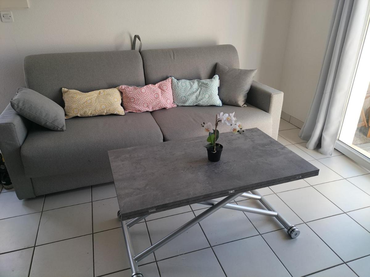 T2 Avec Piscine-Le Family 67 Apartment Pierrefiche  ภายนอก รูปภาพ