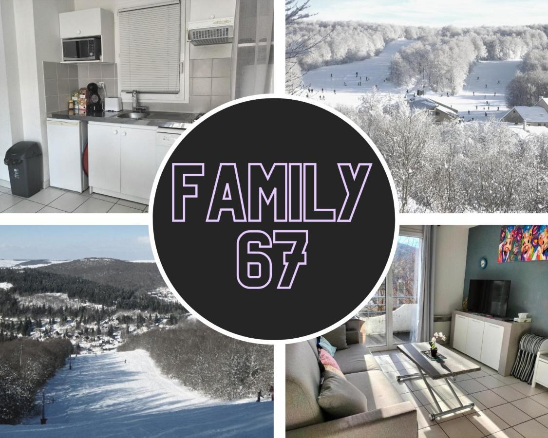 T2 Avec Piscine-Le Family 67 Apartment Pierrefiche  ภายนอก รูปภาพ